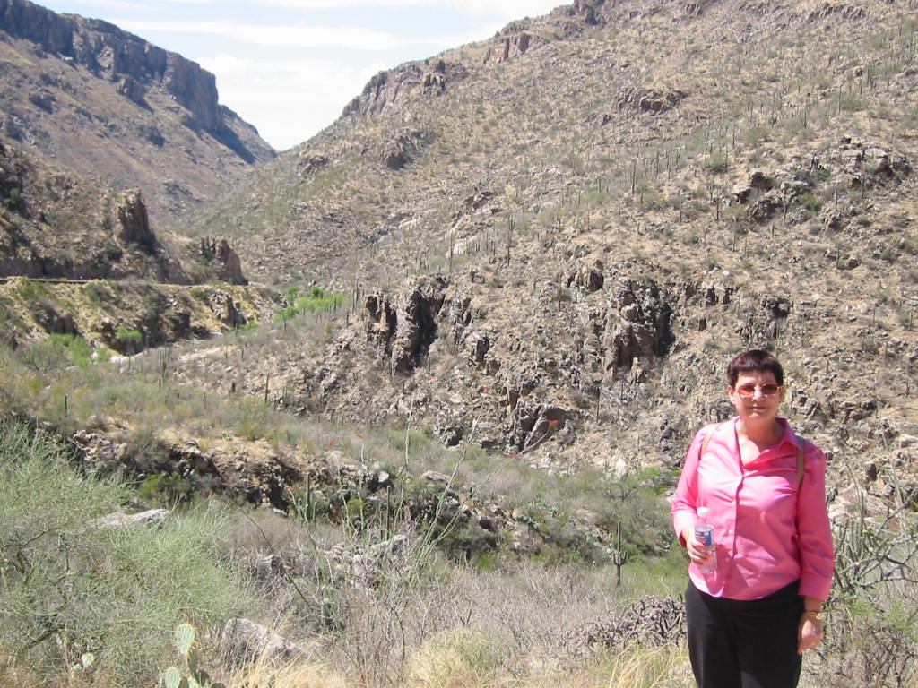 Sabino Canyon, Tuscon, Arizona